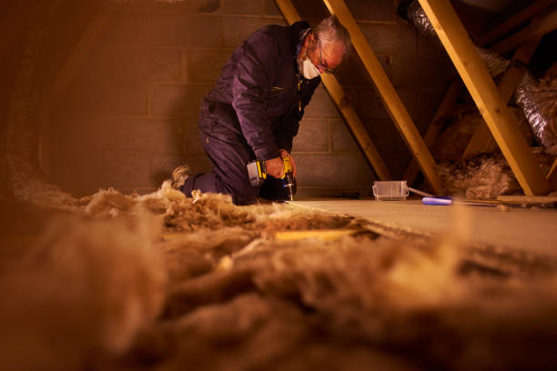 Best Spray Foam Insulation  in Olivarez, TX