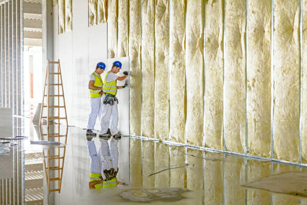 Best Batt and Roll Insulation  in Olivarez, TX